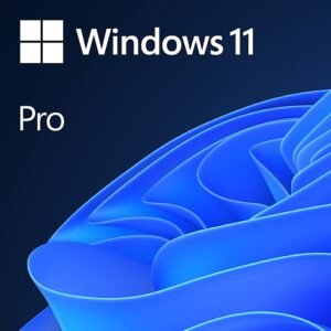 Microsoft Windows 11 Pro DVD Pack